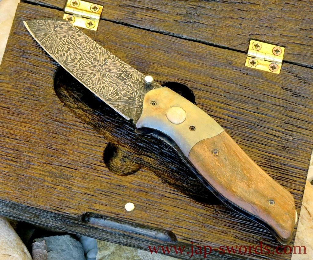 Klappmesser Dinosaurier 