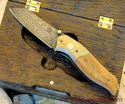 Klappmesser Dinosaurier 