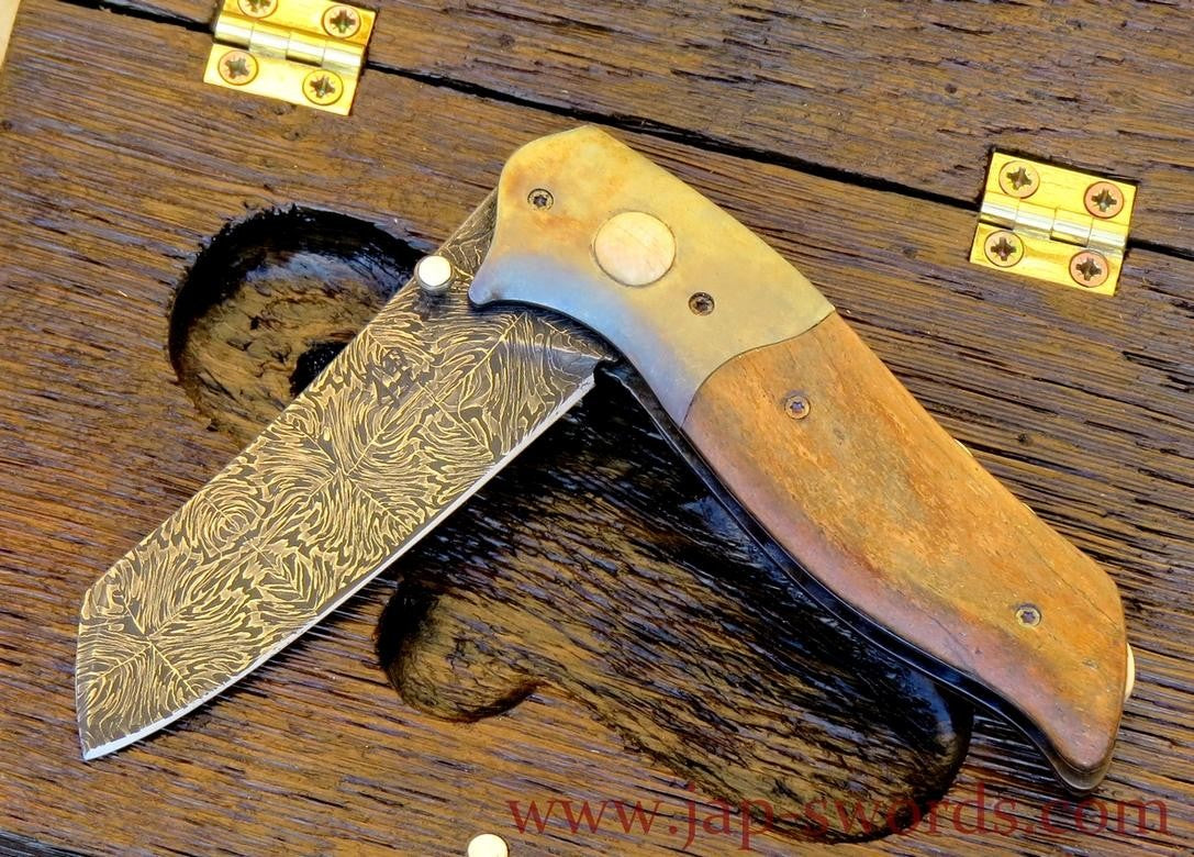 Klappmesser Dinosaurier 