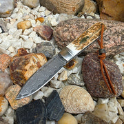 Zavírací lovecký nůž PAROH - Slipjoint nerezový damašek